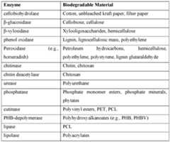 Figure imgf000011_0001