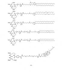 Figure imgf000062_0001