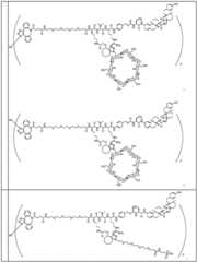 Figure BDA0002889616220001311