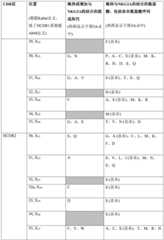 Figure BDA0003164346480001001