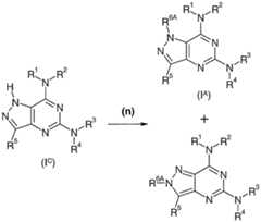 Figure imgf000049_0001