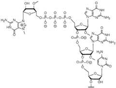 Figure imgf000174_0002