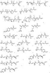 Figure BDA0002268634580002191