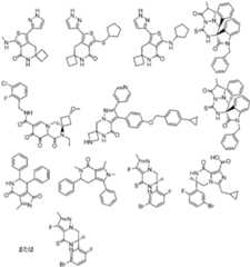 Figure JPOXMLDOC01-appb-C000033