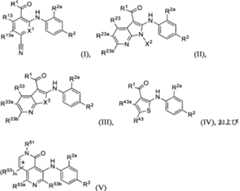 Figure 0007576799000001