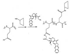 Figure 112013023015302-pat00024