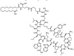 Figure imgf000563_0001