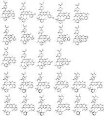 Figure FDA0002861043510000401