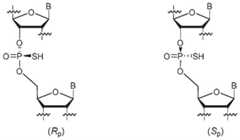 Figure BDA0002008947320000281