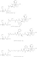 Figure US10828282-20201110-C00076