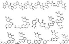 Figure GDA0003480931630000074