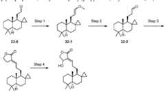 Figure imgf000093_0001