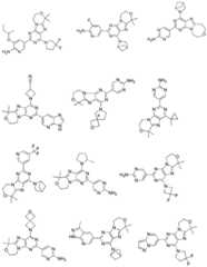 Figure BDA0001402557760000311