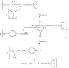 Figure US06982298-20060103-C00007