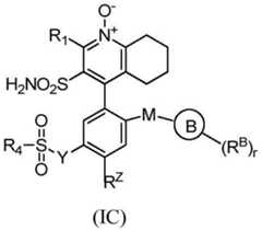 Figure FDA0003238726000000021
