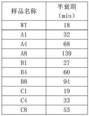 Figure GDA0004037130360000101