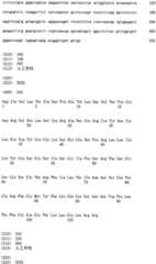 Figure RE-ISB0000195685460001251