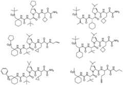 Figure imgf000307_0002