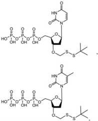 Figure BDA0003670511740002031