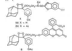 Figure imgf000049_0001