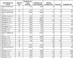 Figure imgf000025_0001