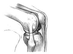 Figure imgf000007_0001