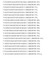 Figure imgf000341_0001