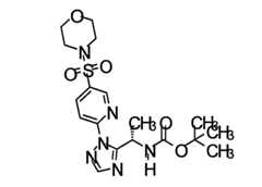 Figure 109139846-A0202-12-0199-54