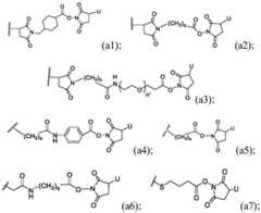 Figure FDA0003285627310000082