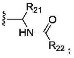 Figure BDA0003027048450001472