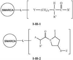 Figure FDA0003783300820000422