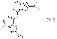 Figure imgf000019_0002