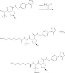 Figure US11969472-20240430-C00121