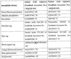Figure imgf000043_0001