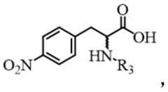 Figure FDA0004057291440000056