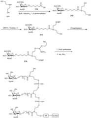 Figure imgf000273_0001