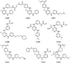 Figure BDA0001453135130000701