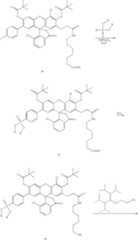 Figure US07671218-20100302-C00102