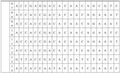 Figure BDA0004188900490000111