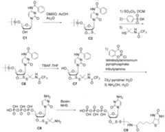 Figure imgf000573_0002