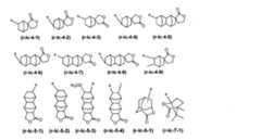 Figure 0007394591000034