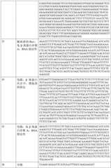 Figure BDA0002317806370000601