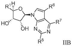 Figure imgf000013_0005