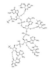 Figure imgf000269_0001