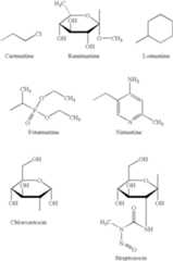 Figure US20050181008A1-20050818-C00026