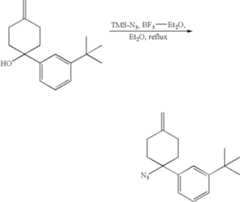 Figure US20060135581A1-20060622-C00086