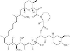 Figure US20060246518A1-20061102-C00005