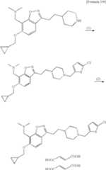 Figure US20090318690A1-20091224-C00234