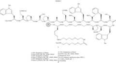 Figure US20100202967A1-20100812-C00026