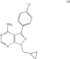 Figure US20100273776A1-20101028-C00017